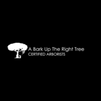 A Bark Up the Right Tree