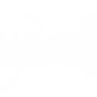 45678 world