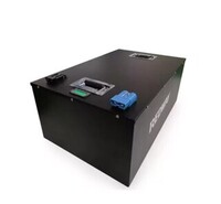 60V LiFePO4 Batteries