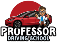 Professor Driving School