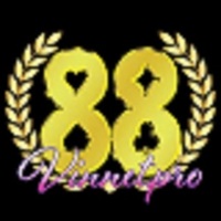 88vinnetpro