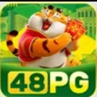48PG