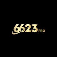 6623