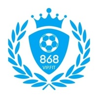868VIP fit