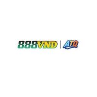 888vndorg
