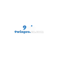 9winprocncom