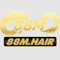 88M