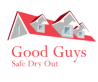  Mold removal near me